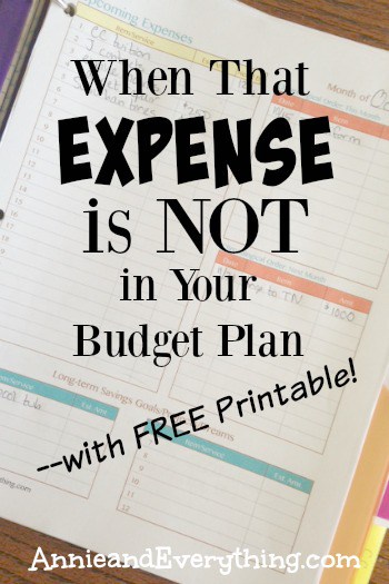 What to do with expenses that are not part of your regular budget plan? I've got a free printable to help you organize them on an as-needed basis!