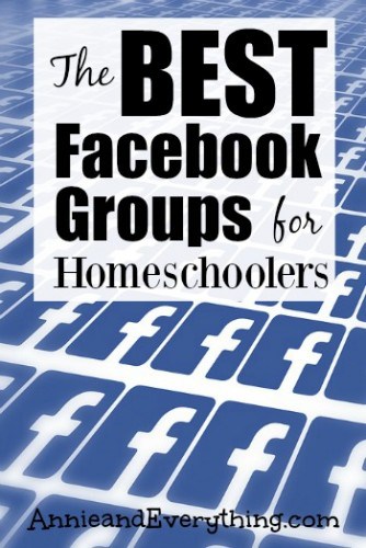 Do you feel alone as a homeschooler? One solution is to find some homeschooling Facebook groups to join. I've found several to recommend -- come find one to participate in and make new like-minded friends today!