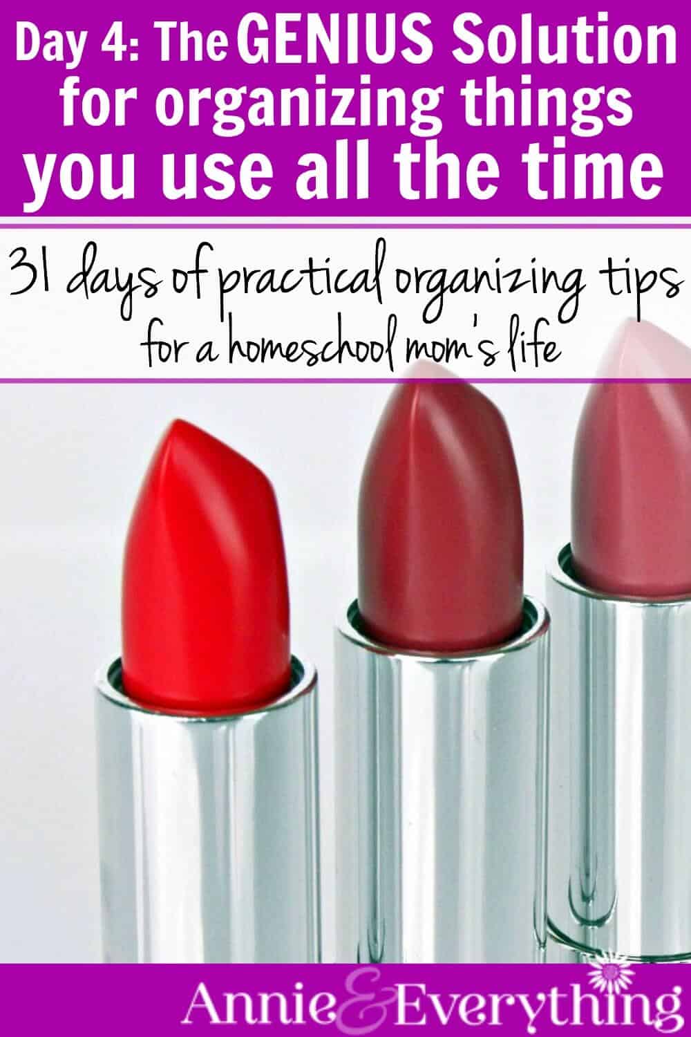 Day 4: The Genius Solution for Organizing Things You Use all the Time – Its  Not That Hard to Homeschool