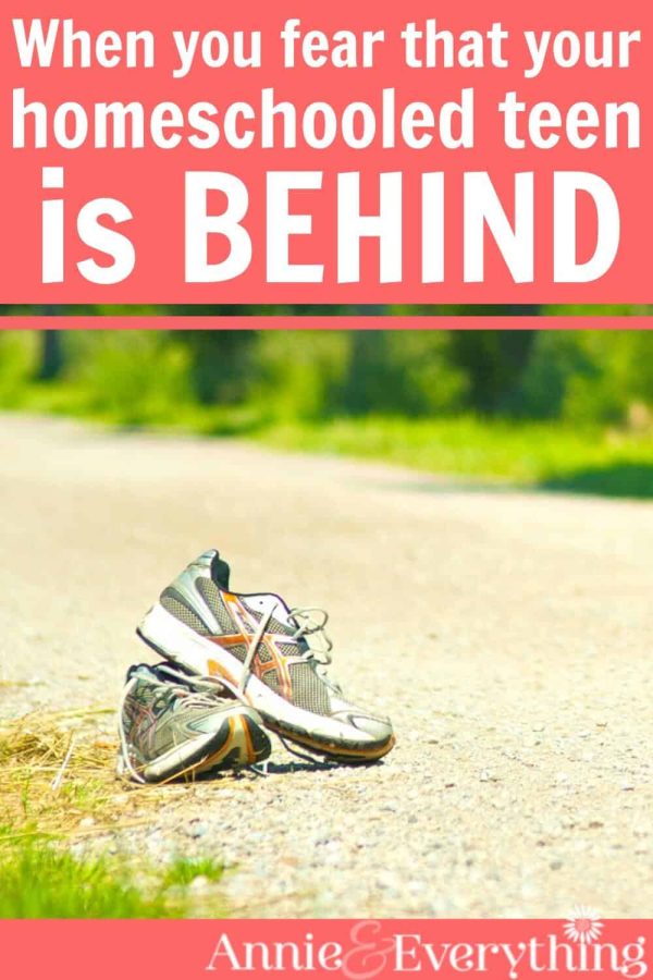When you homeschool high school, the thought of your student being behind is very scary. What if you ruin their chances to get into college? Or whatever else they want to do? Read this post (and watch the accompanying video) to rid yourself of this fear once and for all!