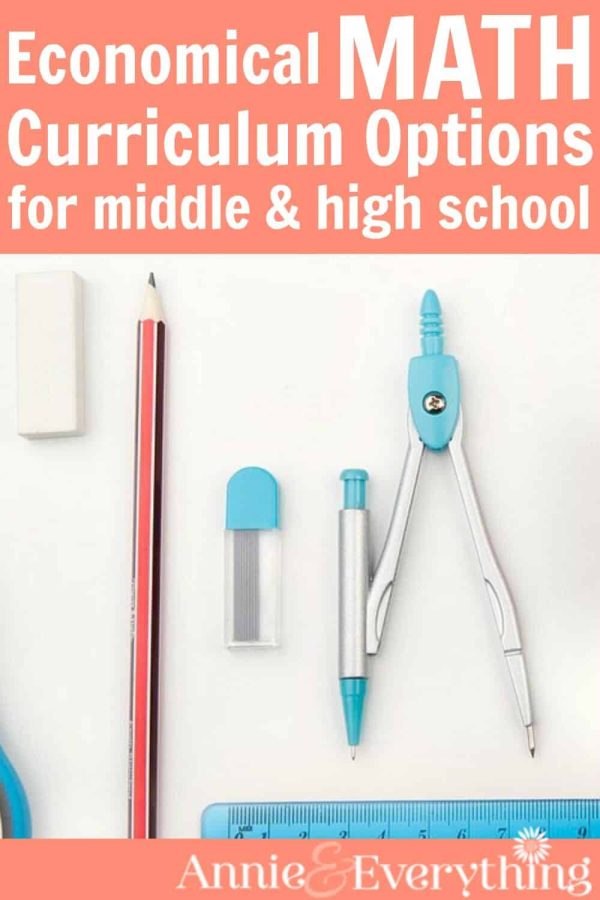 Math curriculum can be tricky to shop for, because there are so many options out there. Here I've given recommendations for several, plus a place to buy them at a discount!